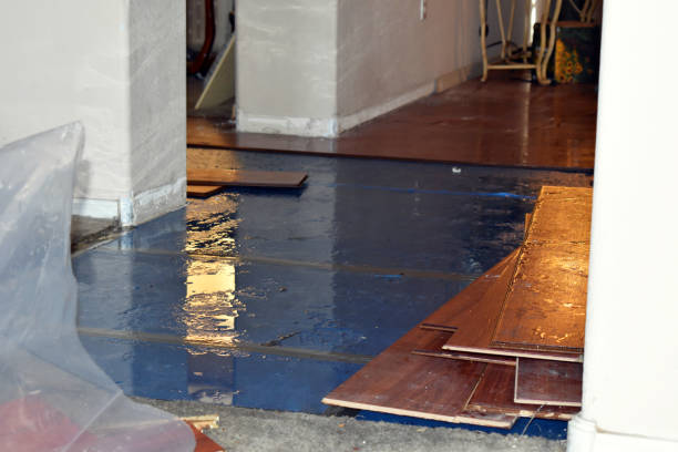 Professional Storm Water Damage Restoration technician working in Joshua, TX